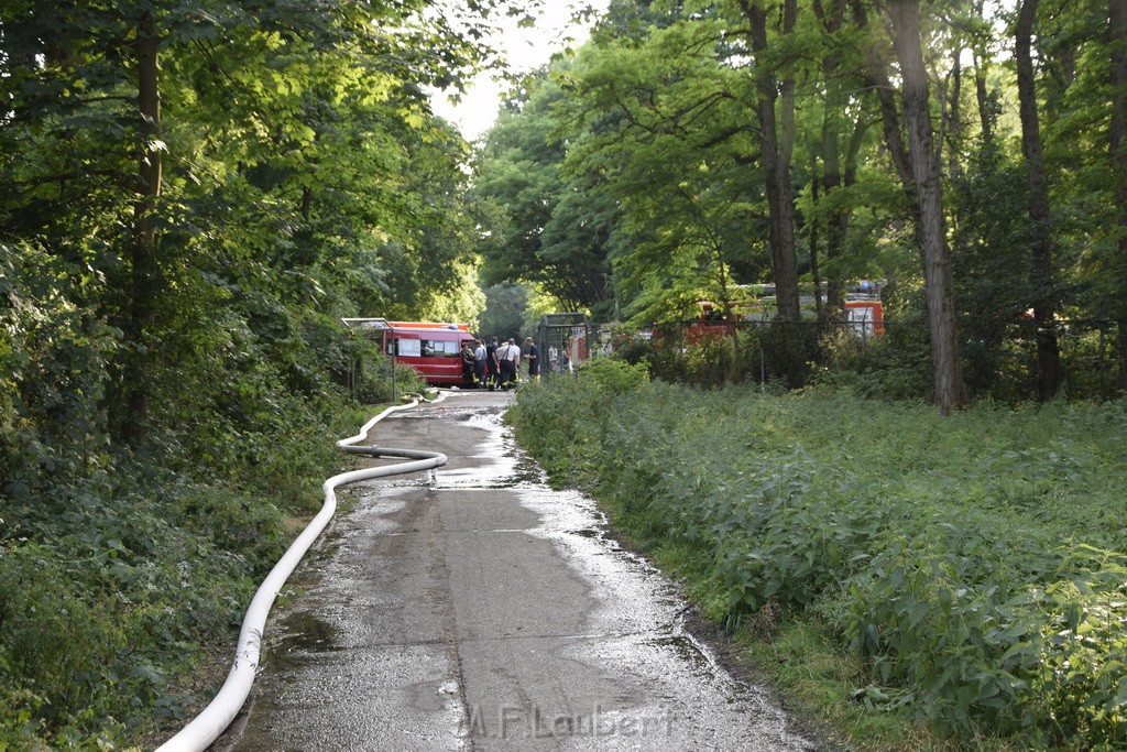 Waldbrand Koeln Hoehenhaus Hoehenfelder Mauspfad P198.JPG - Miklos Laubert